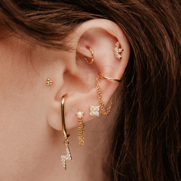 PB_LOVILION_11A_DAMINA_CLOSEUP