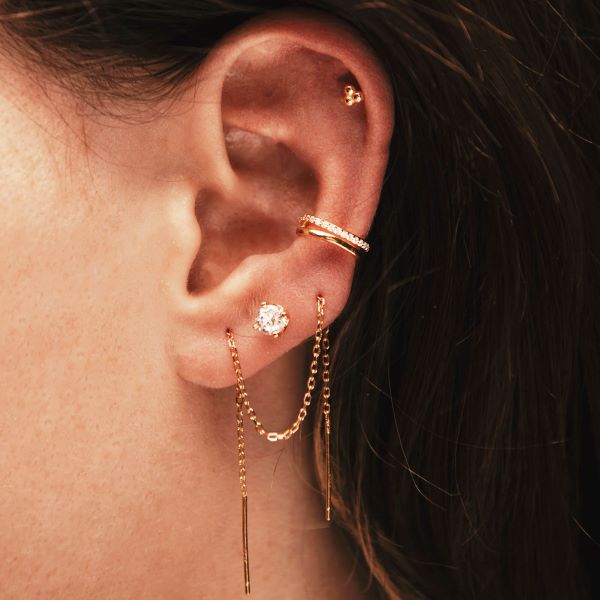 PB_LOVILION_28A_ROSE_CLOSEUP