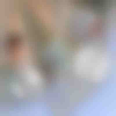 Bandă pentru repararea plaselor de țânțari (5 x 210 cm) | INSECTAPE