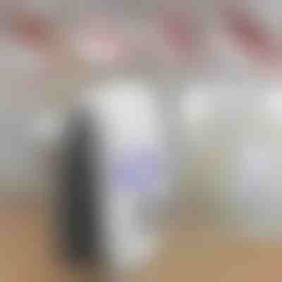 Respingător electric de dăunători fără miros și fără toxine | BUGBUSTER