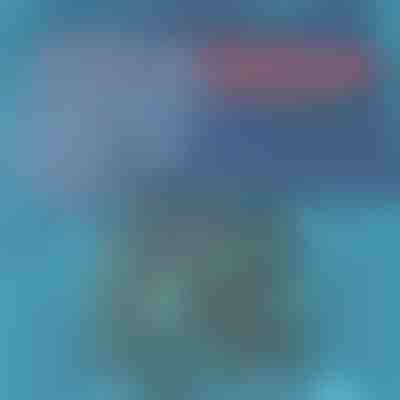 Costum de baie ușor și cu uscare rapidă pentru bărbați | TOGGIES