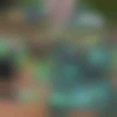 Kit pentru grădinărit | GARDIKIT