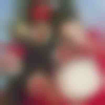 Decorațiuni pentru Crăciun DIY (30pcs) | ORNAMENTIFY