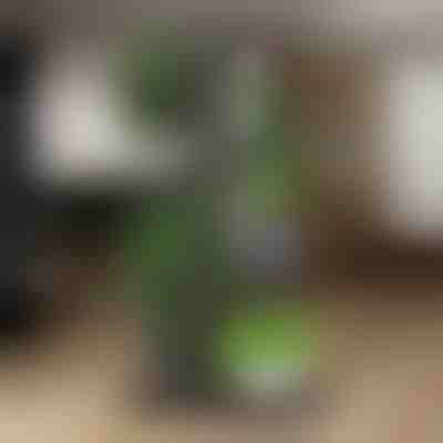 Suport pentru ghivece cu flori | POTSTAGE