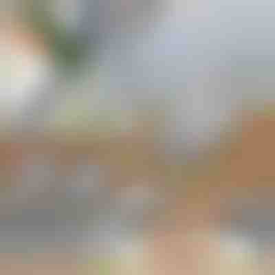 Feliator multifuncțional 3-în-1 pentru legume | SLICEIEST