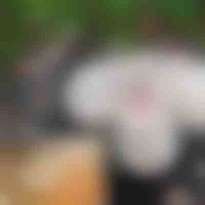 Bile de Crăciun strălucitoare (3m) | XMASBALL