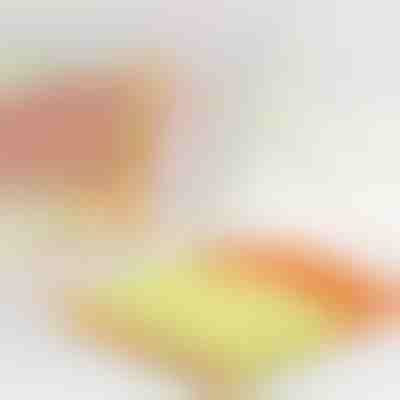 Instrument de curățare din microfibră pentru jaluzele | BLINDY