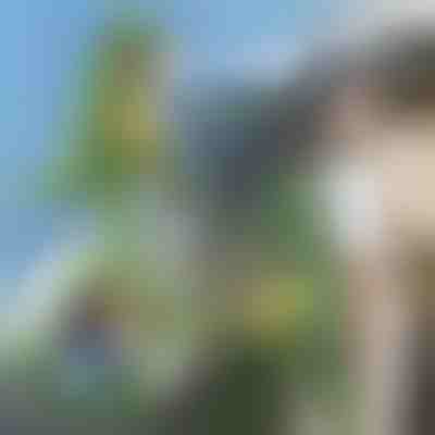 Rucsac pentru copii în formă de dinozaur | DINOBACK