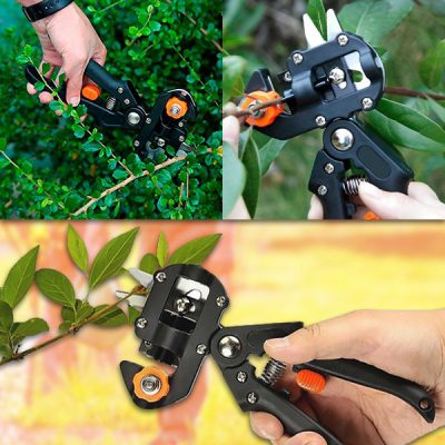 Foarfecele de tăiat și altoit | MASTERCUT