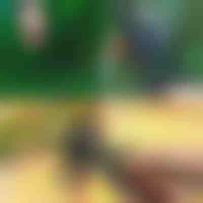 Foarfecele de tăiat și altoit | MASTERCUT