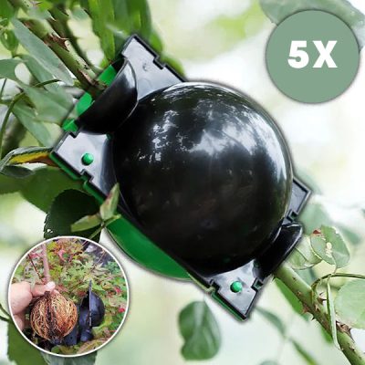 Recipient pentru pentru dezvoltarea rădăcinilor (5 bucăți) | ROOTY