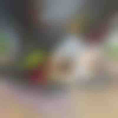 12 în 1 tocător și feliator de legume | CHOPMASTER