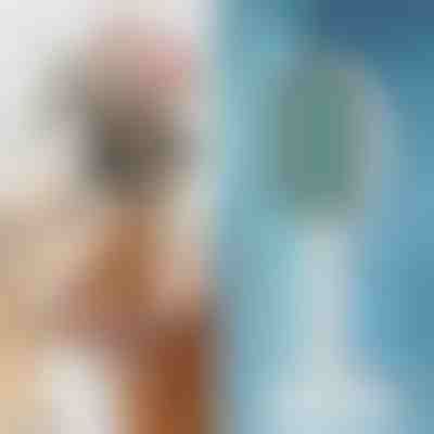 Perie pentru îngrijirea animalelor de companie | GATOBRUSH