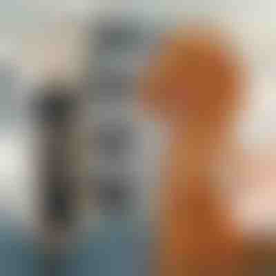 Mașină de tuns cu zgomot redus pentru animale de companie | GULAMACHINE