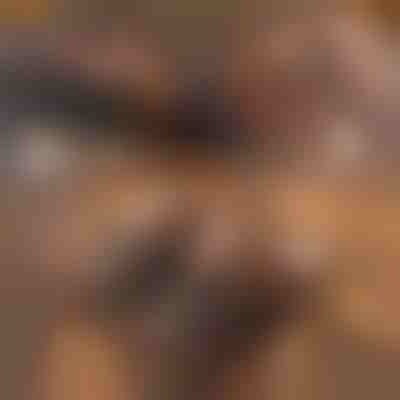 Papuci din piele, izolați termic și indestructibili | NOBLEFEET