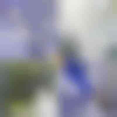 Tijă pentru spălare cu presiune | WATERJET