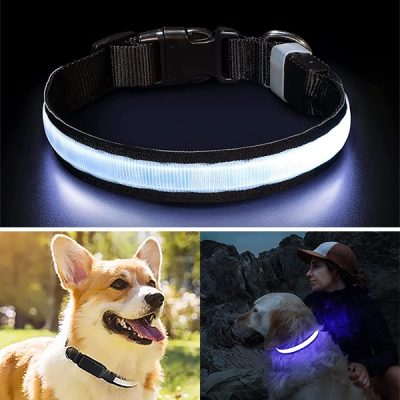 Zgardă pentru câini cu lumină LED | PETSHINE