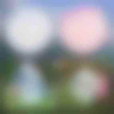 Uimitoarea minge SLIMEBUB