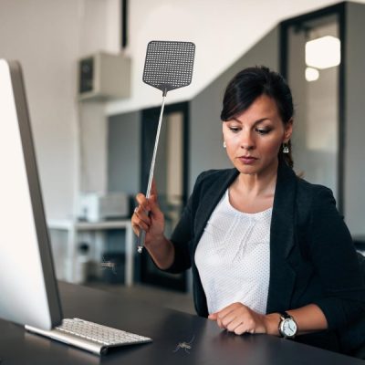 Set de palete extensibile pentru muște | FLYTTER