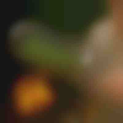 Coș de grătar rotativ | ROLOGRILL