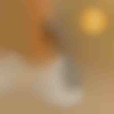 Ajutor pentru încălțat fără a te apleca | SHOEVA