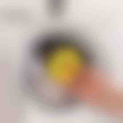 Captator pentru părul animalelor de companie | PAWCATCH