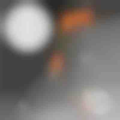 Pachet suplimentar cu 50 de cuie | MORENAILS