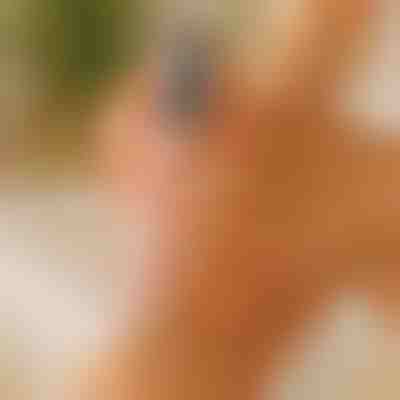 Picioare netede și catifelate | PEDIVIA