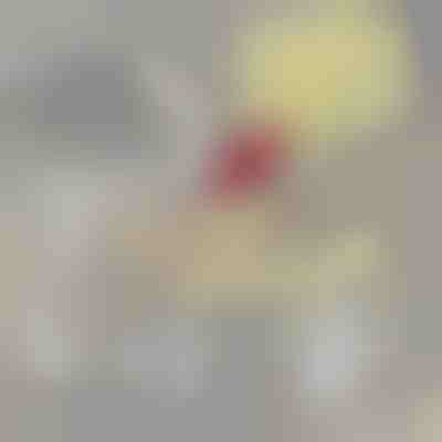 Filtru suplimentar pentru PETSPRINGLE | SPRINGLEFIL