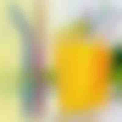 4x paie din oțel reutilizabile | STEELSIP