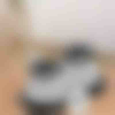 1 filtru +1 GRATIS pentru VACUSTICK | VACUFILTER