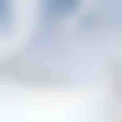 Husă magnetică pentru parbriz împotriva zăpezii | FROSTCOVER