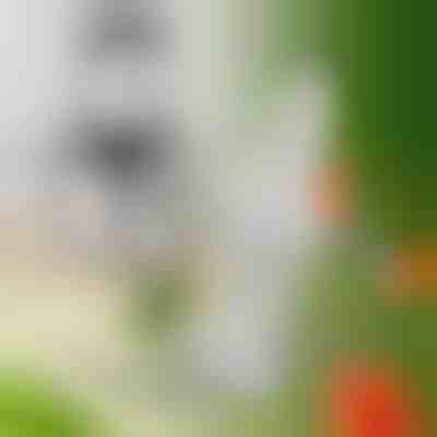 Lame suplimentare pentru MULTIMINCER | MULTIBLADE