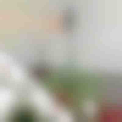 Bară reglabilă de stabilizare pentru vârful bradului | STABLESTAR