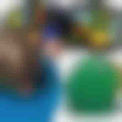 Carte de activități din fetru | DINOBOOK