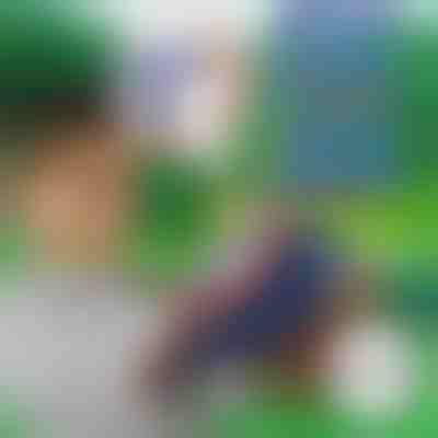 10+10 SĂGEȚI din spumă GRATUITE pentru BLASTKID | F2OAMBULLETS