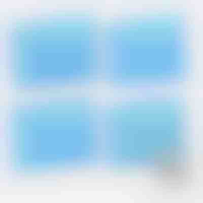 4 cârpe uscate pentru măturare | SWEEPICLOTH