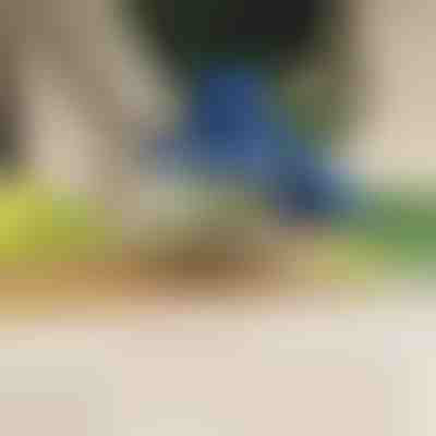 Curățător electric de fructe și legume | PEELMATIC