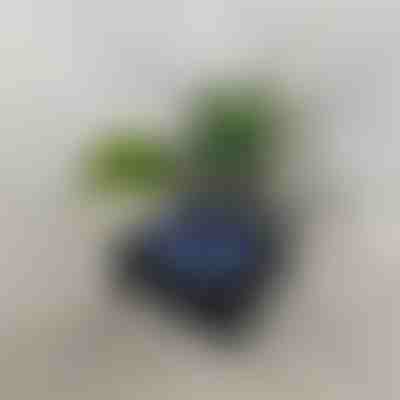 Proiector de unde retro cu difuzor | VIVAPLAY